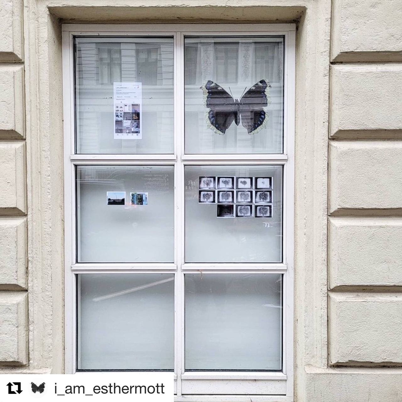 From her wIndow exhibition